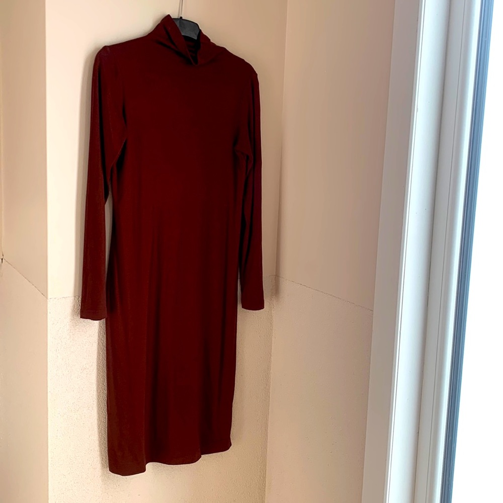 Club Monaco dress